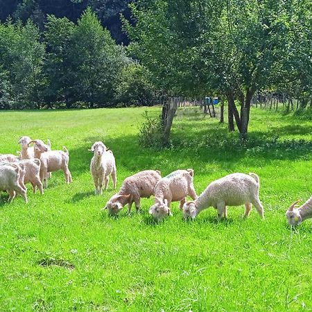 Au Mohair Des Alpy Fougax-et-Barrineuf 外观 照片